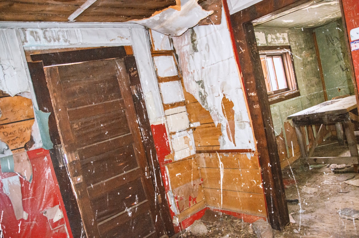 Mold Remediation service in Aurora, IL